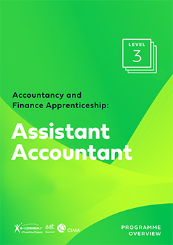 Assistant Accounting