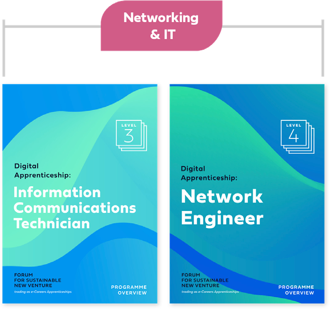 Network & IT