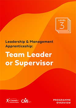 Team Leader or Supervisor